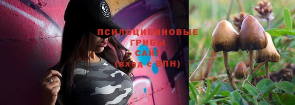 соль ск Алексин