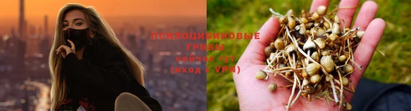 соль ск Алексин