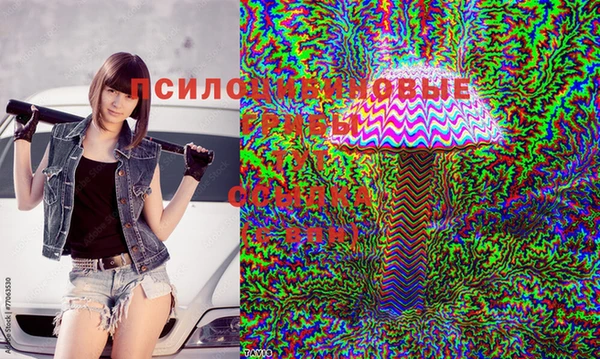 jwh Алексеевка