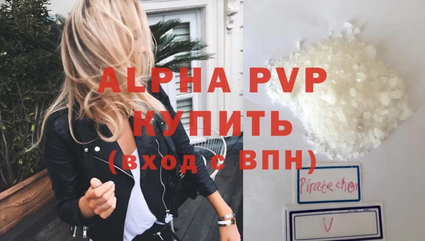 стафф Осташков