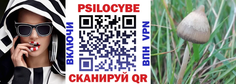 Псилоцибиновые грибы MAGIC MUSHROOMS Поронайск