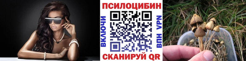 Галлюциногенные грибы мицелий  где можно купить наркотик  Поронайск 