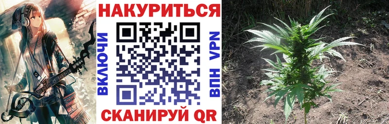 дарнет шоп  Поронайск  Конопля ГИДРОПОН 